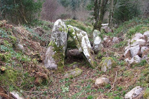Ballywholan Portal Tomb: Carnfadrig