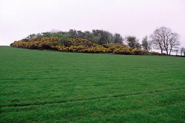 Gortycavan Mound