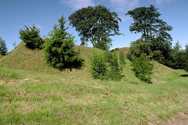 Harryville Motte and Bailey