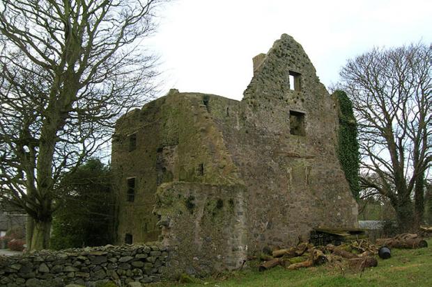 Ringhaddy Castle