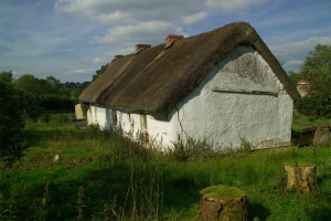 Thatched house, Killadeas, County Fermanagh (HERoNI Photographic Collection)